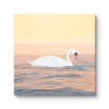 Gentle Glide - Pair