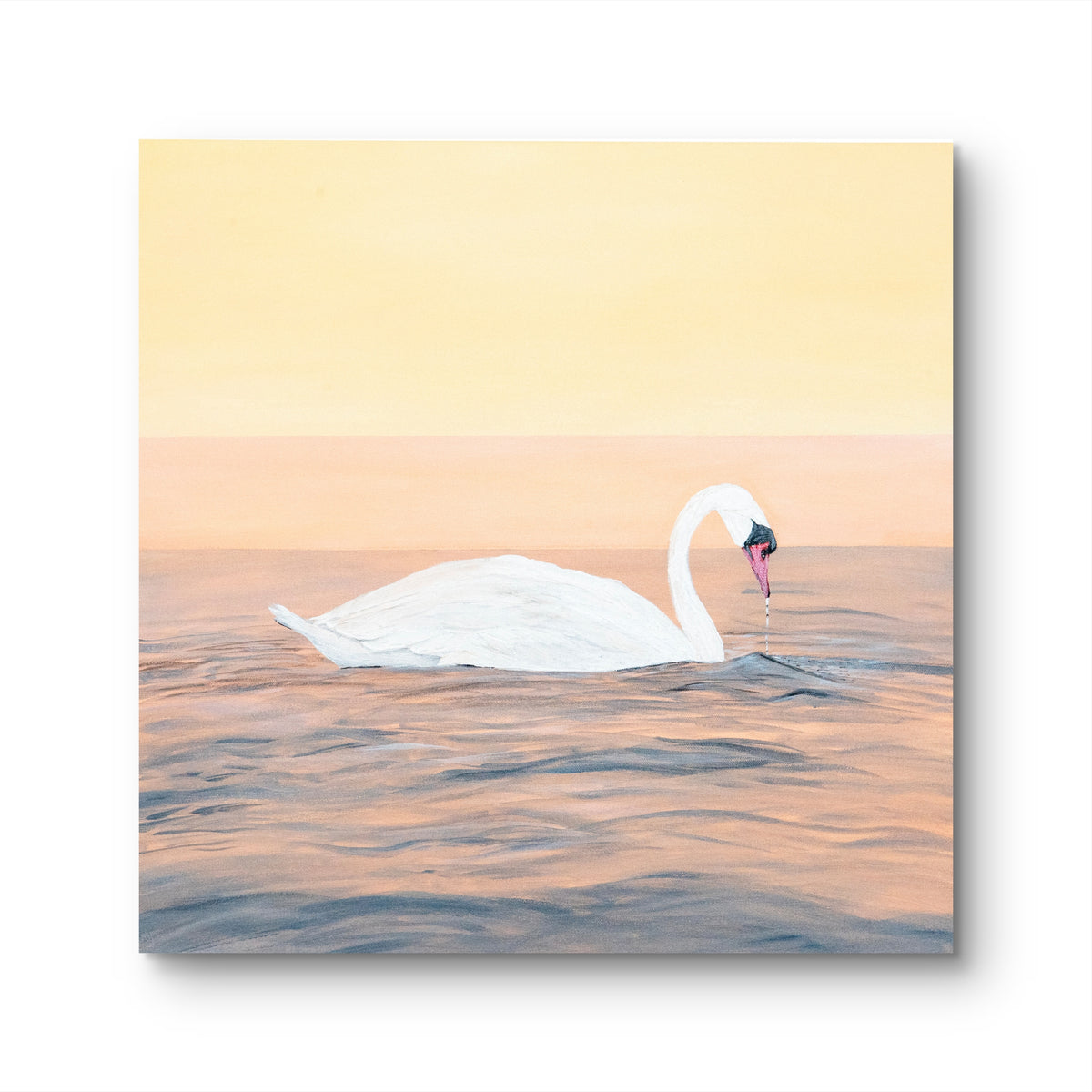 Gentle Glide - Pair
