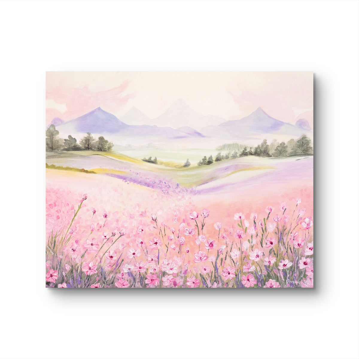 Soft Meadows