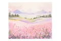 Soft Meadows