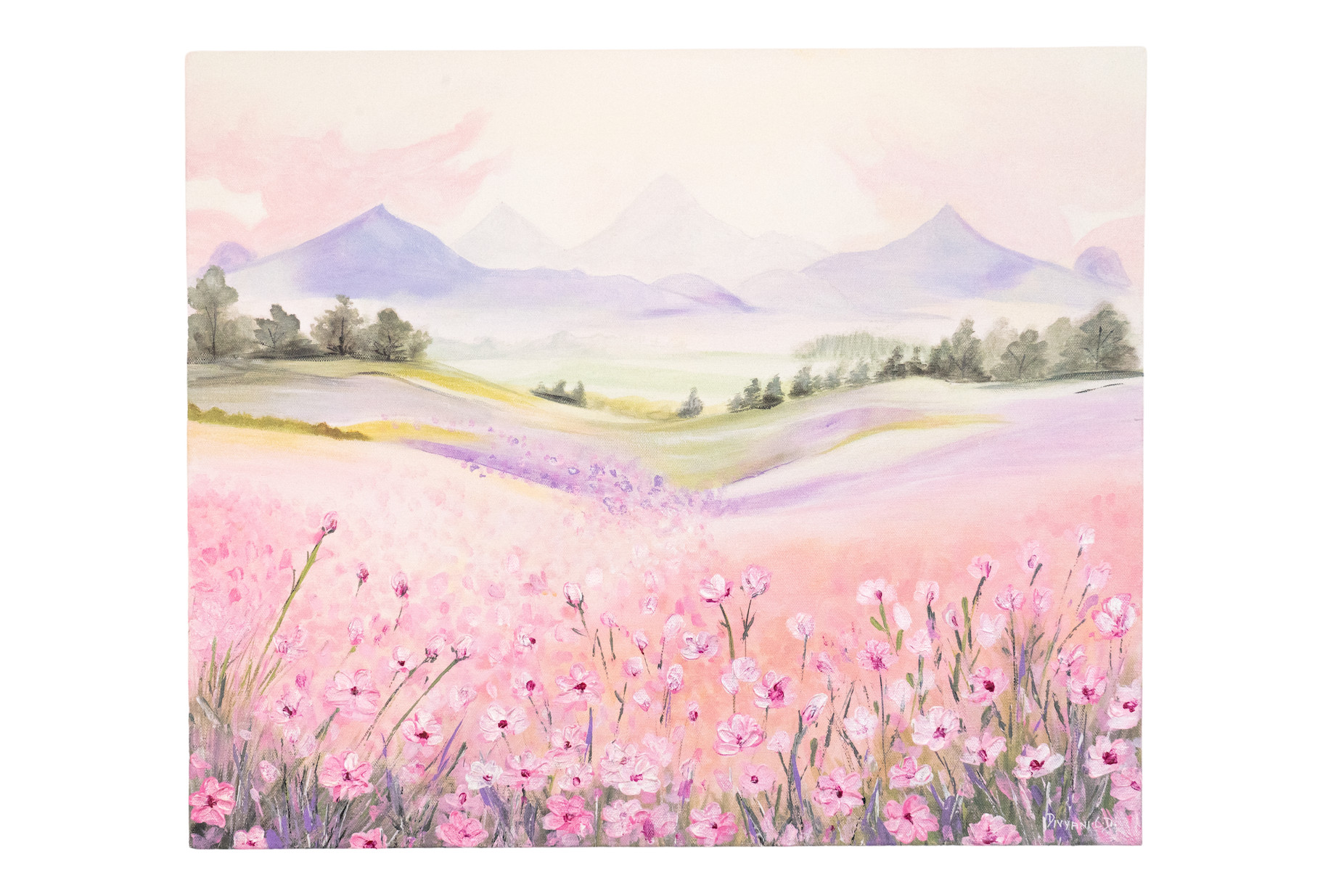 Soft Meadows