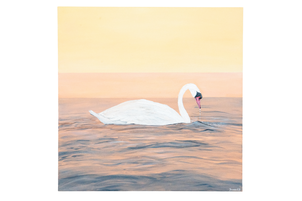 Gentle Glide - Pair