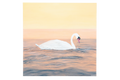 Gentle Glide - Pair