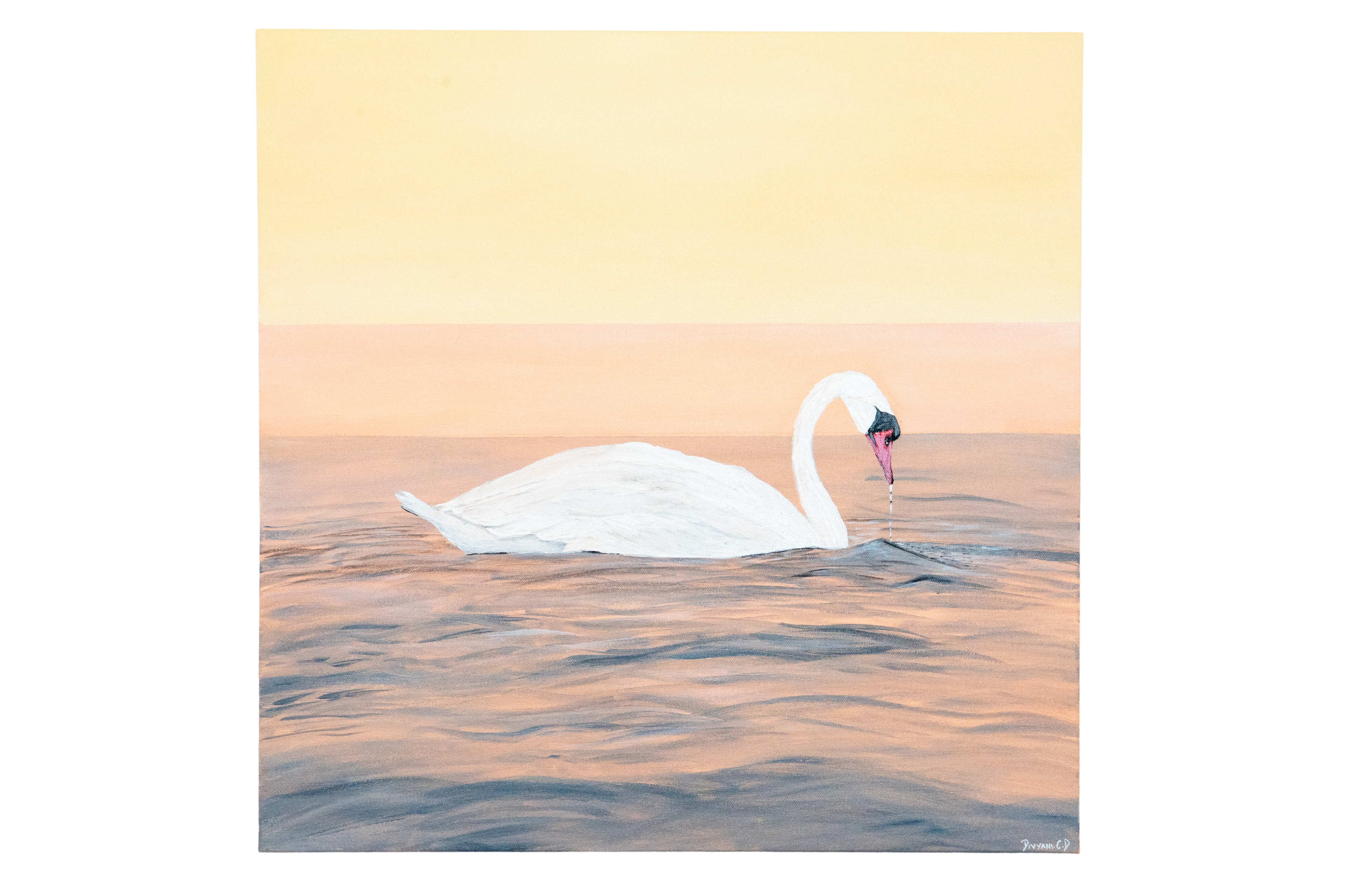 Gentle Glide - Pair