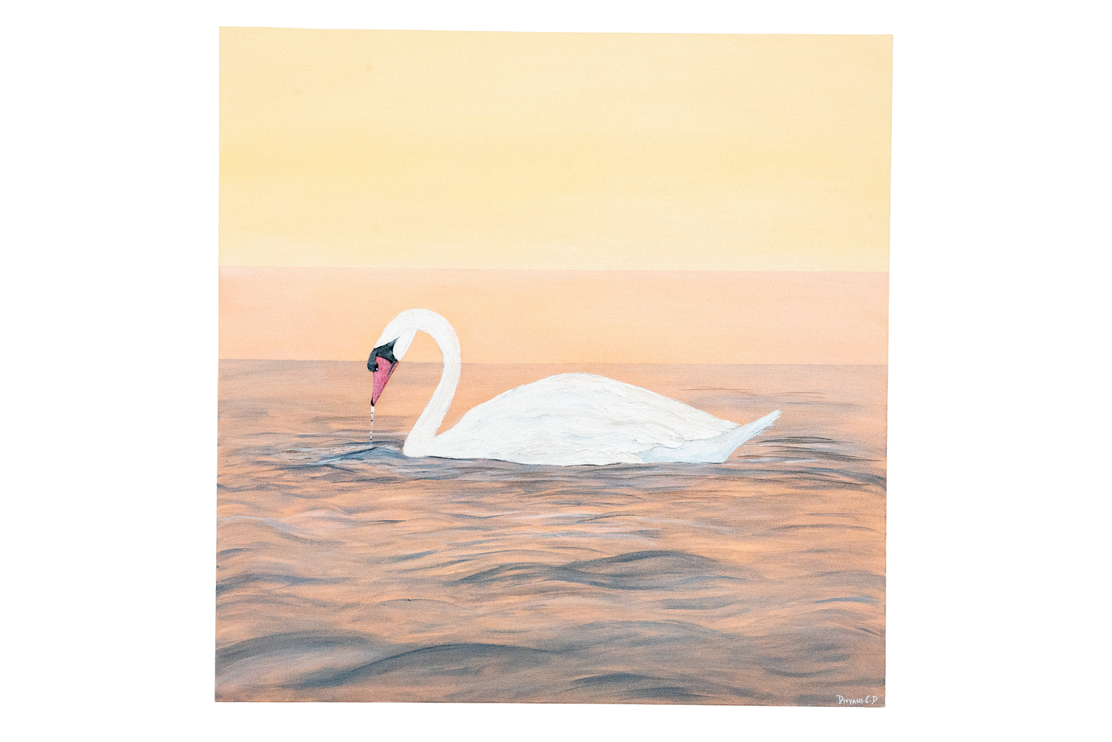 Gentle Glide - Pair