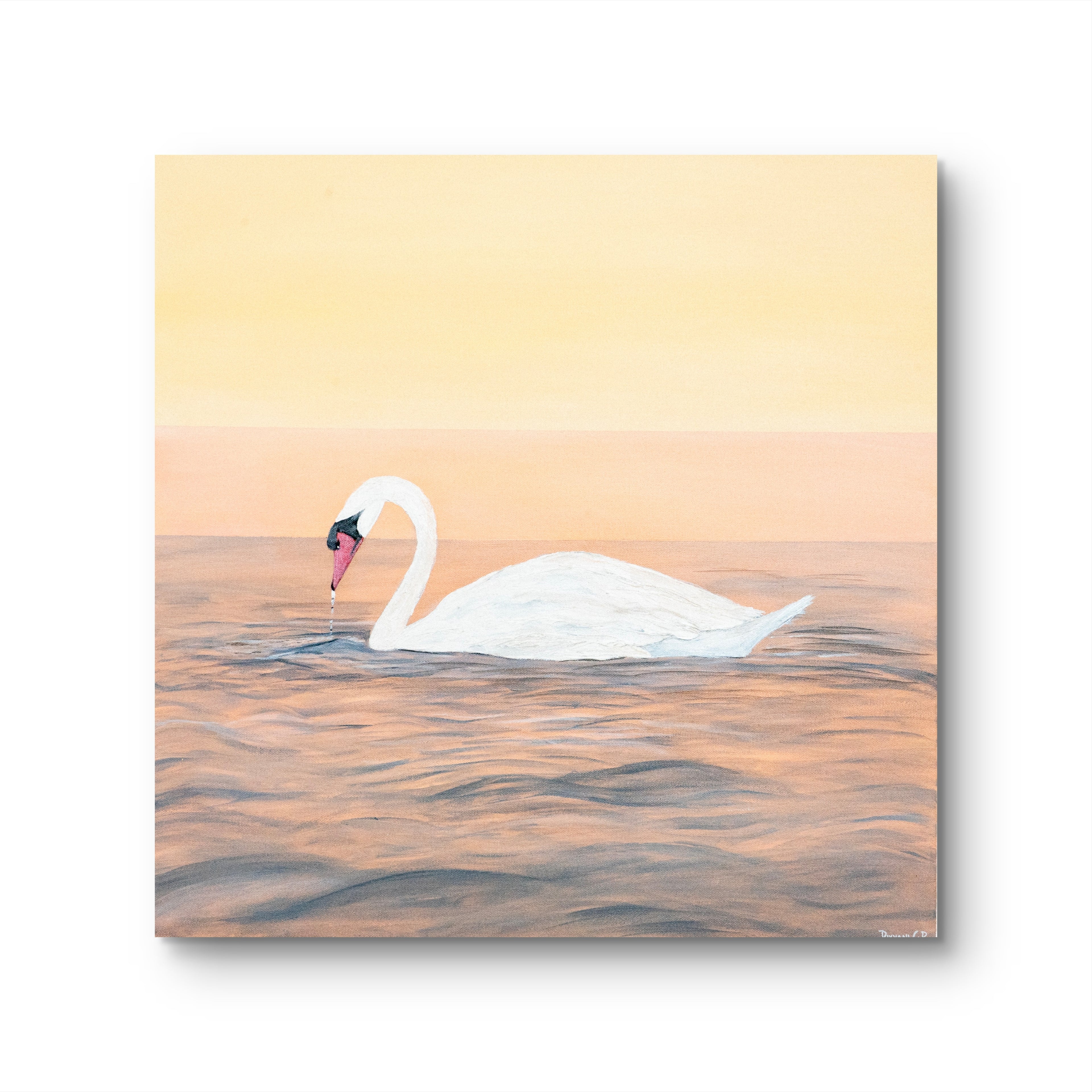 Gentle Glide - Pair